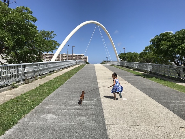 孫と愛犬